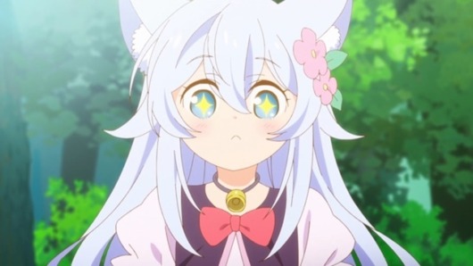 条善寺高校バボカセット 条善寺高校バボカセット Amazon.co.jp