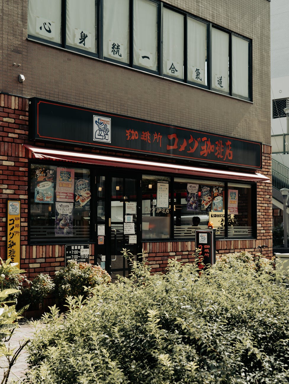 伏黒甚爾の魅力と人気の理由